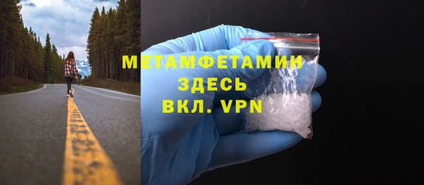 прущие грибы Аркадак