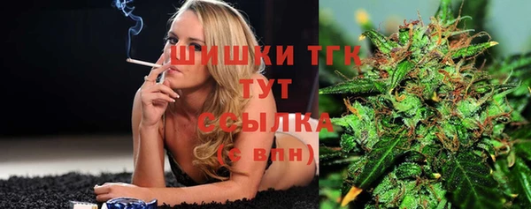 молекула духа Заволжск